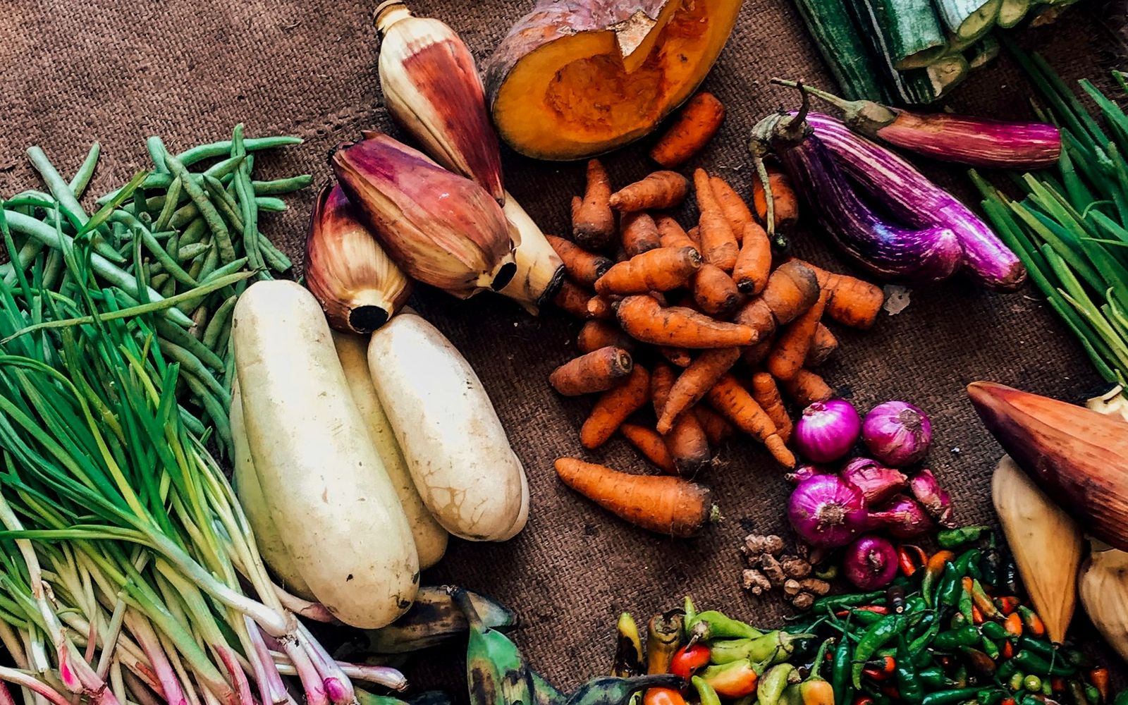 Fresh seasonal vegetables and herbs on a dark surface